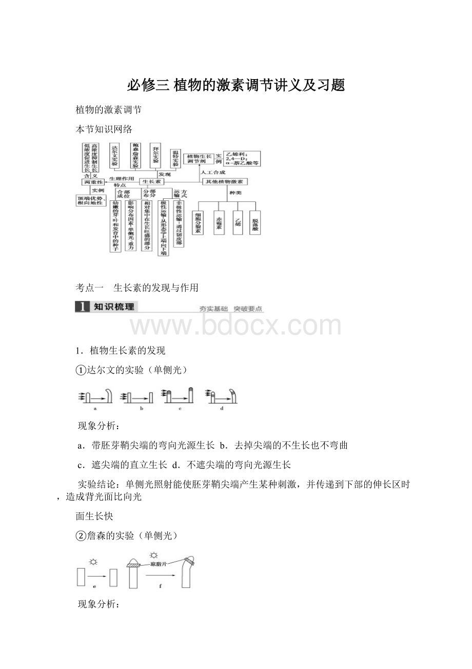 必修三 植物的激素调节讲义及习题.docx