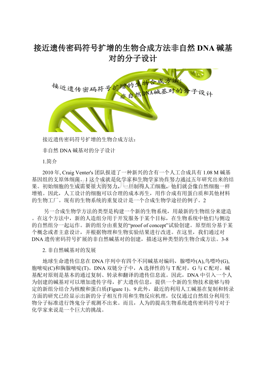 接近遗传密码符号扩增的生物合成方法非自然DNA碱基对的分子设计Word文档下载推荐.docx_第1页