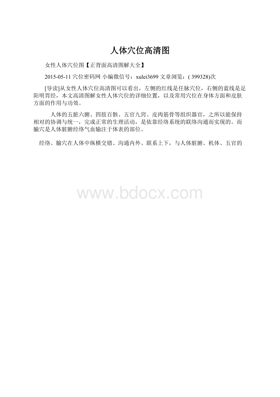 人体穴位高清图Word文档格式.docx