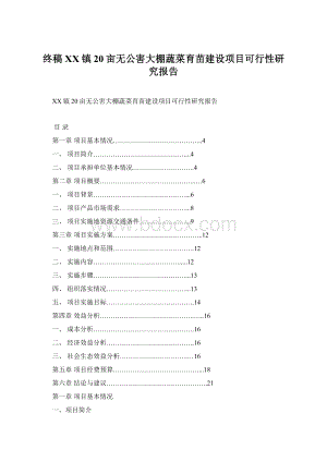 终稿XX镇20亩无公害大棚蔬菜育苗建设项目可行性研究报告Word文件下载.docx