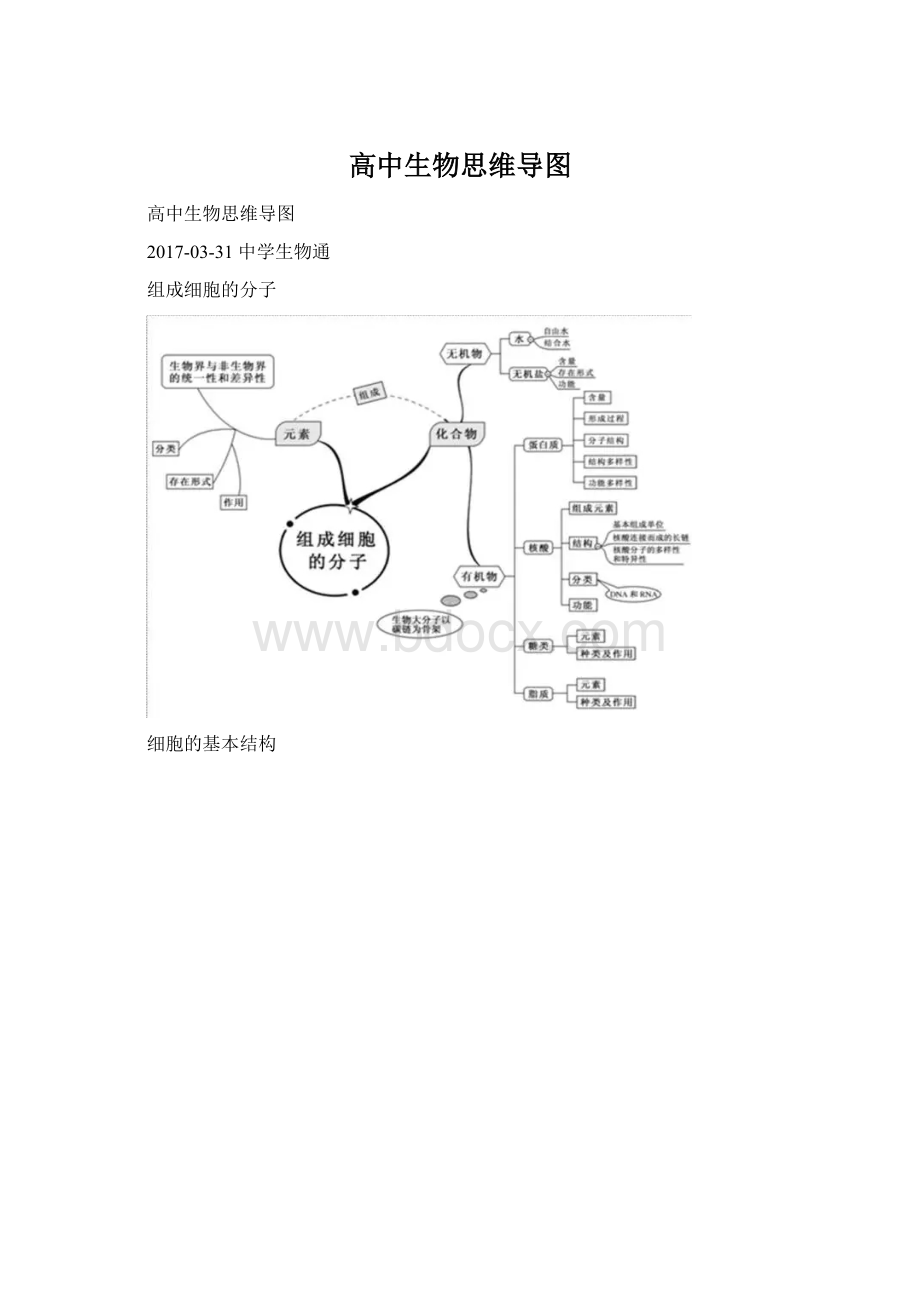 高中生物思维导图.docx