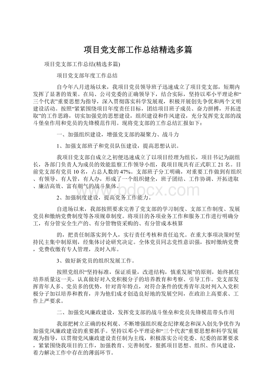 项目党支部工作总结精选多篇Word下载.docx