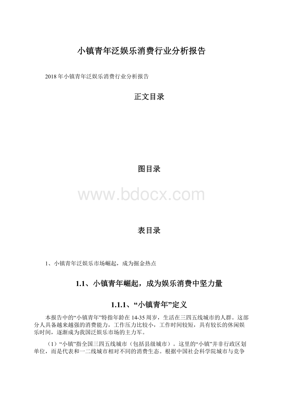 小镇青年泛娱乐消费行业分析报告.docx_第1页