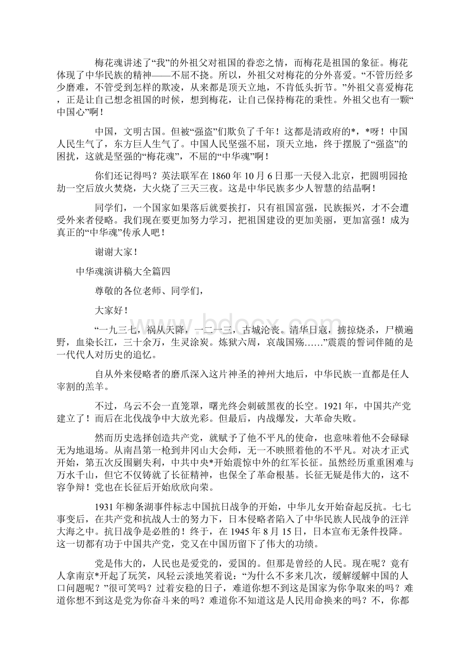 中华魂演讲稿大全20篇.docx_第3页