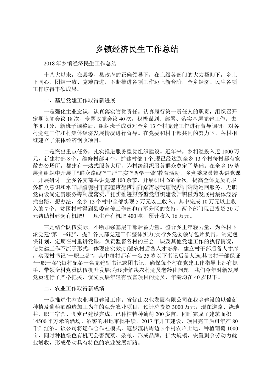 乡镇经济民生工作总结.docx_第1页