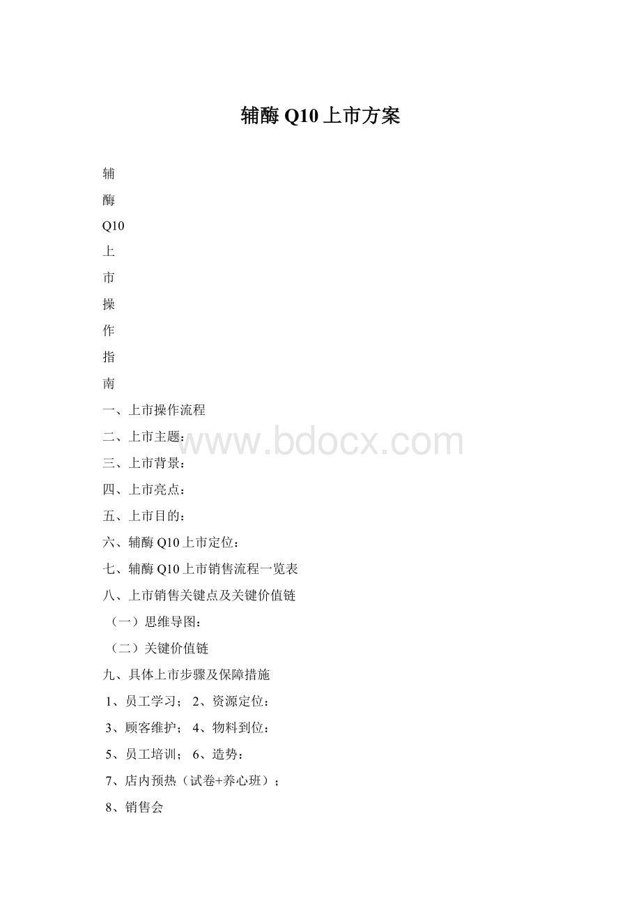 辅酶Q10上市方案Word格式.docx