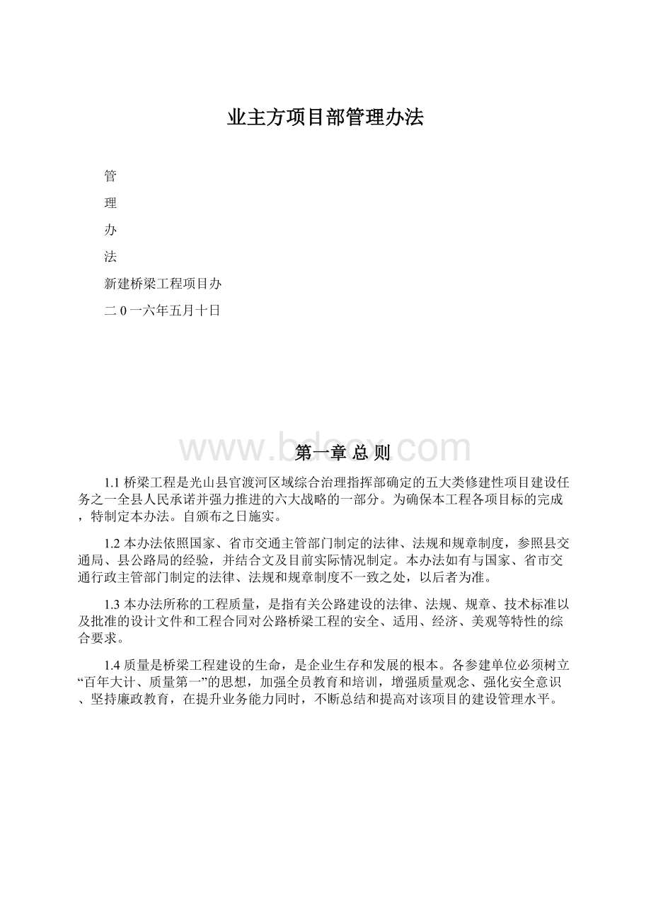 业主方项目部管理办法.docx_第1页