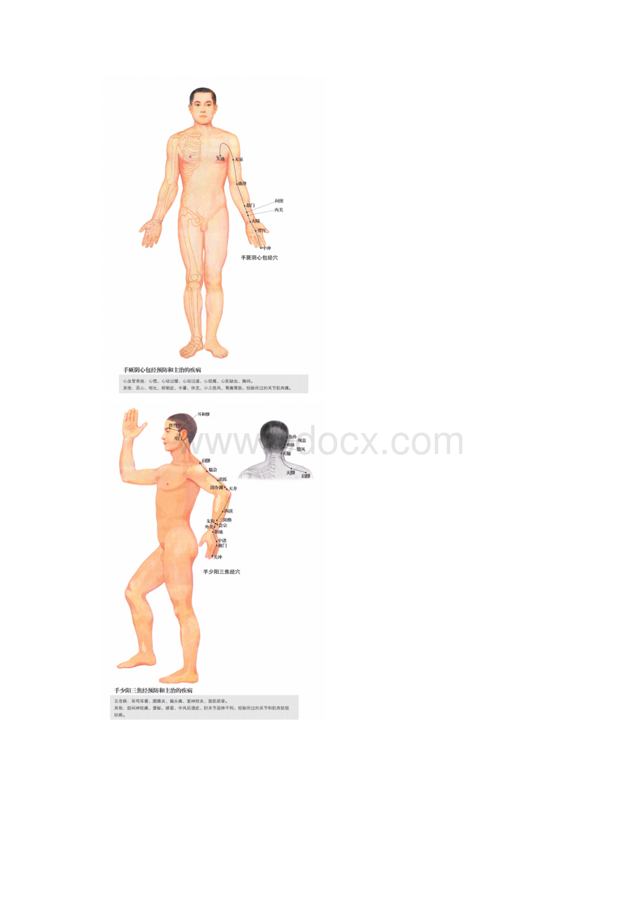 任督二脉及十二经脉图清晰版+蹲墙功打通任督二脉.docx_第2页