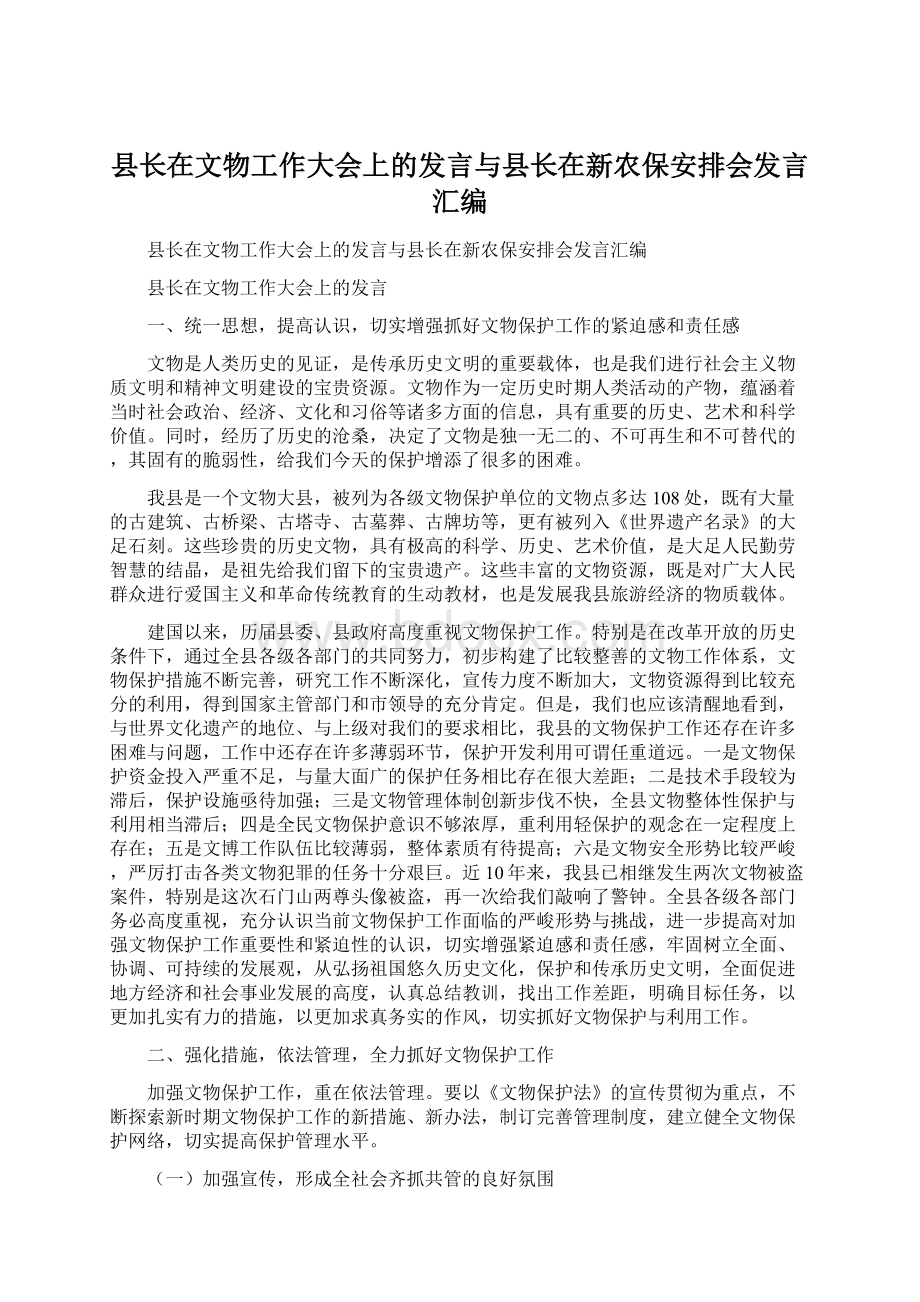 县长在文物工作大会上的发言与县长在新农保安排会发言汇编Word格式.docx