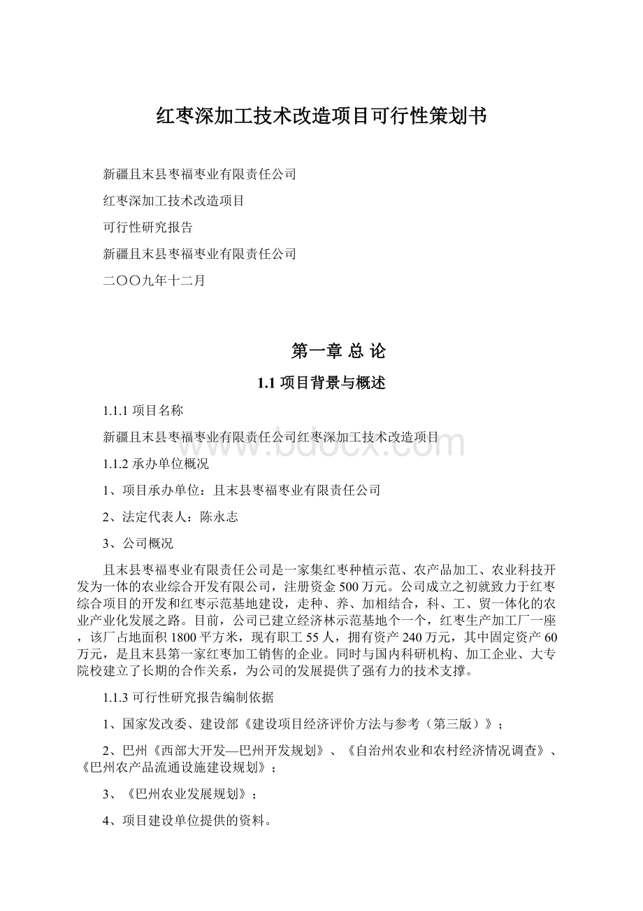 红枣深加工技术改造项目可行性策划书Word文档下载推荐.docx