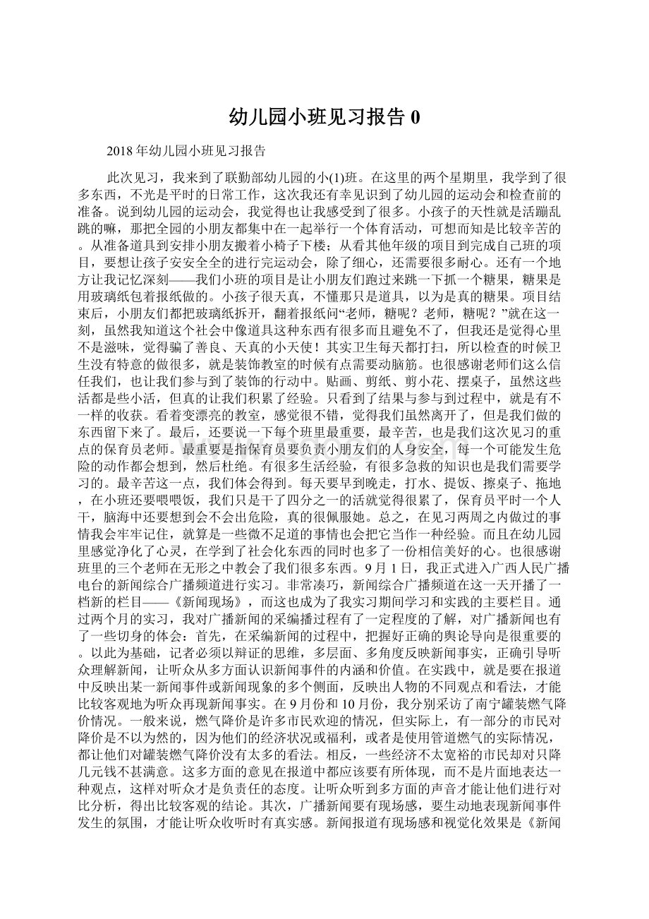 幼儿园小班见习报告0.docx_第1页