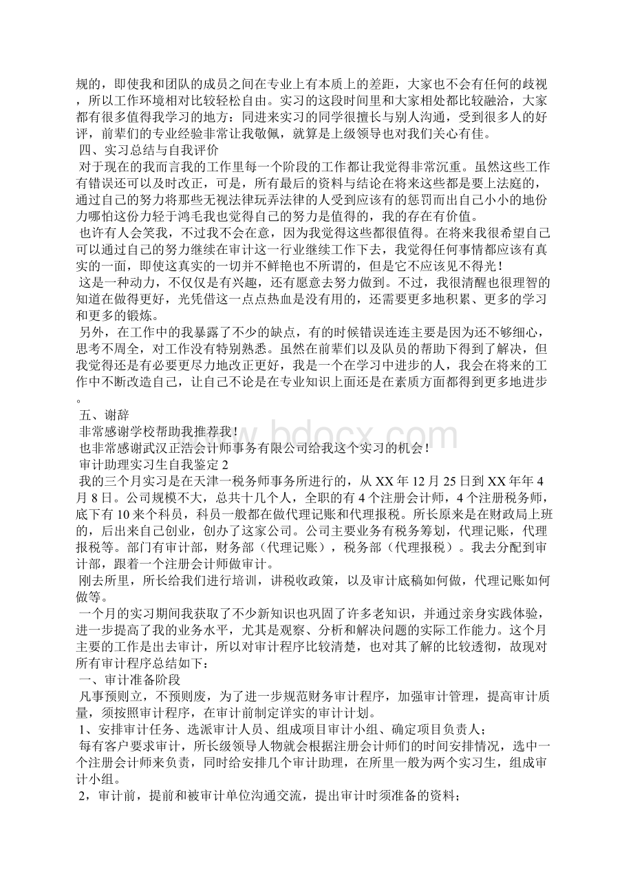 审计助理实习生自我鉴定.docx_第3页