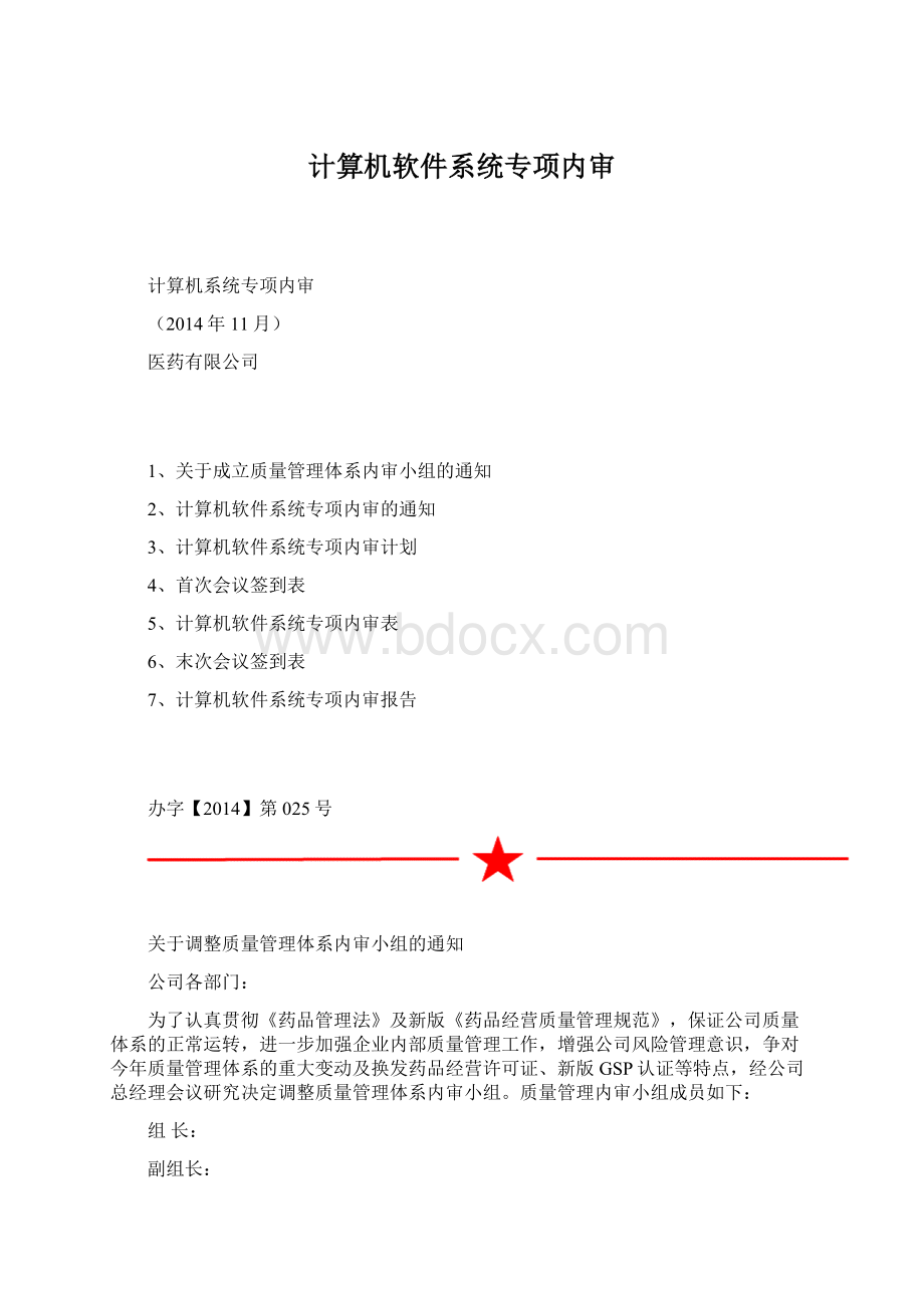 计算机软件系统专项内审文档格式.docx_第1页