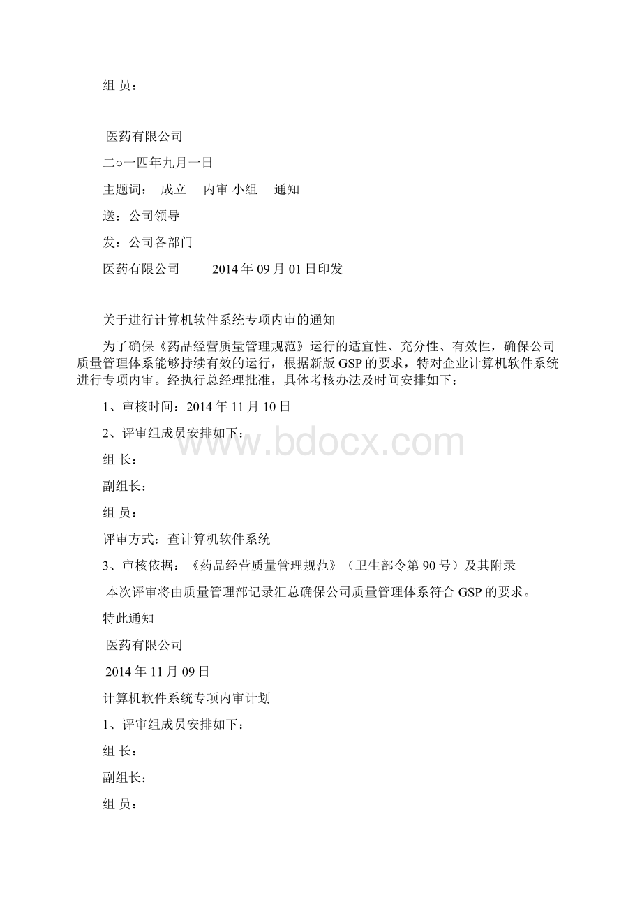 计算机软件系统专项内审文档格式.docx_第2页