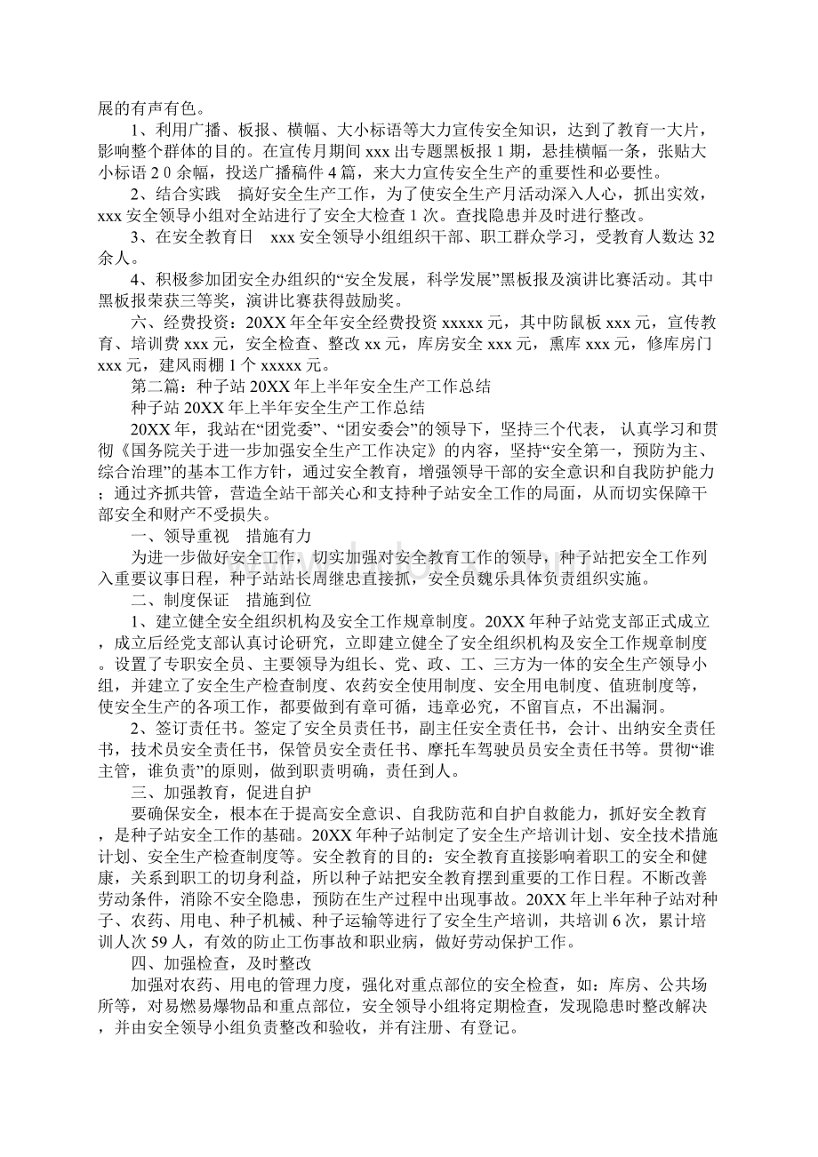 农药种子站安全生产总结.docx_第2页