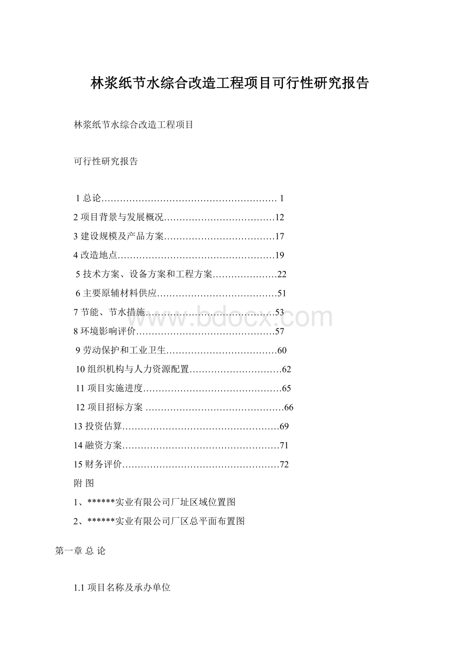 林浆纸节水综合改造工程项目可行性研究报告.docx_第1页