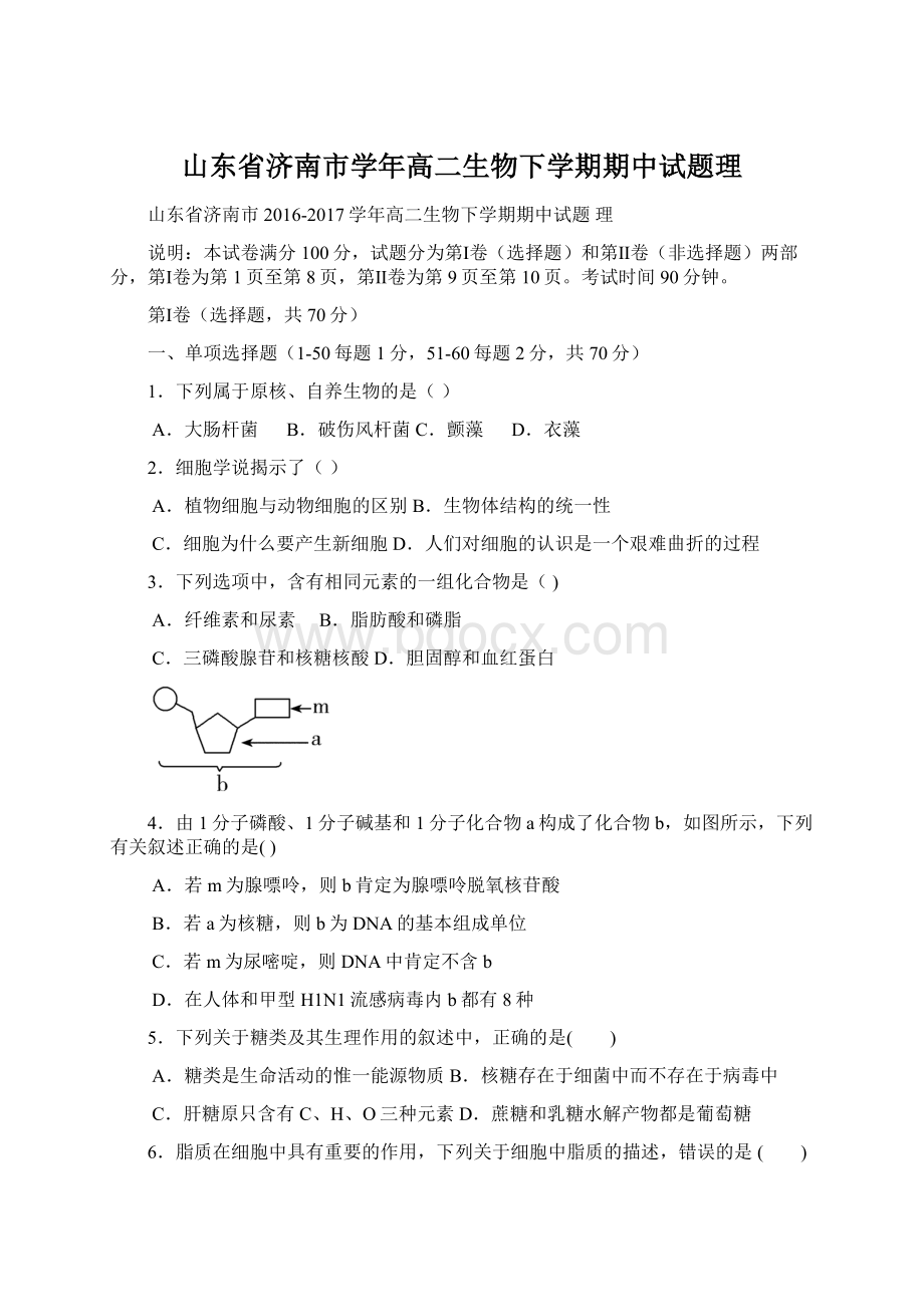 山东省济南市学年高二生物下学期期中试题理Word文件下载.docx