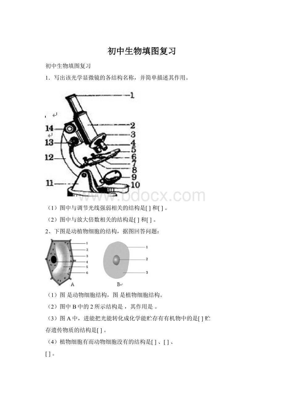 初中生物填图复习Word文件下载.docx_第1页