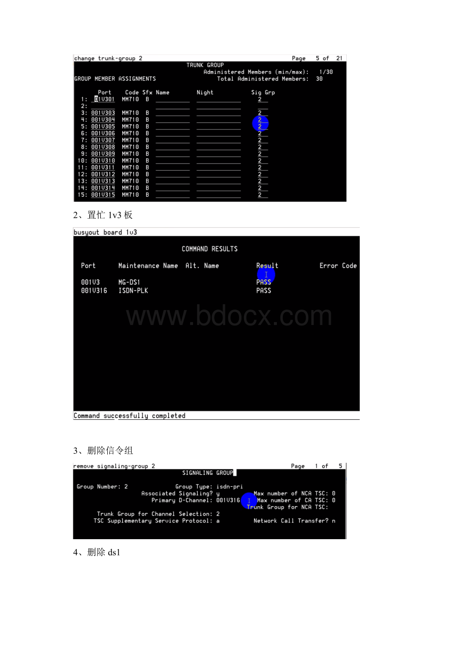 AVAYA平台+东进DN300语音卡IVR详细配置.docx_第3页