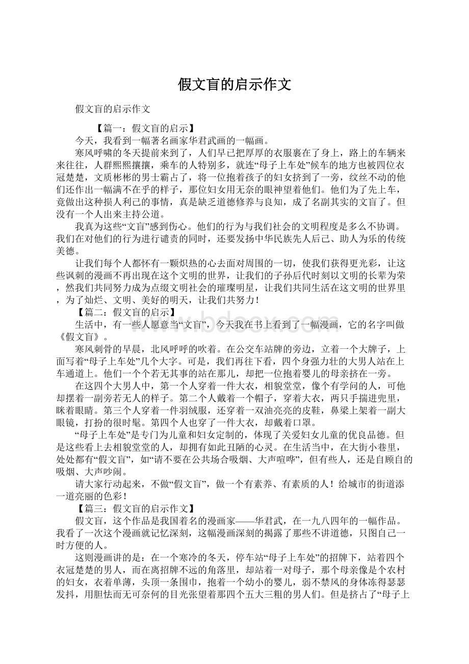 假文盲的启示作文文档格式.docx