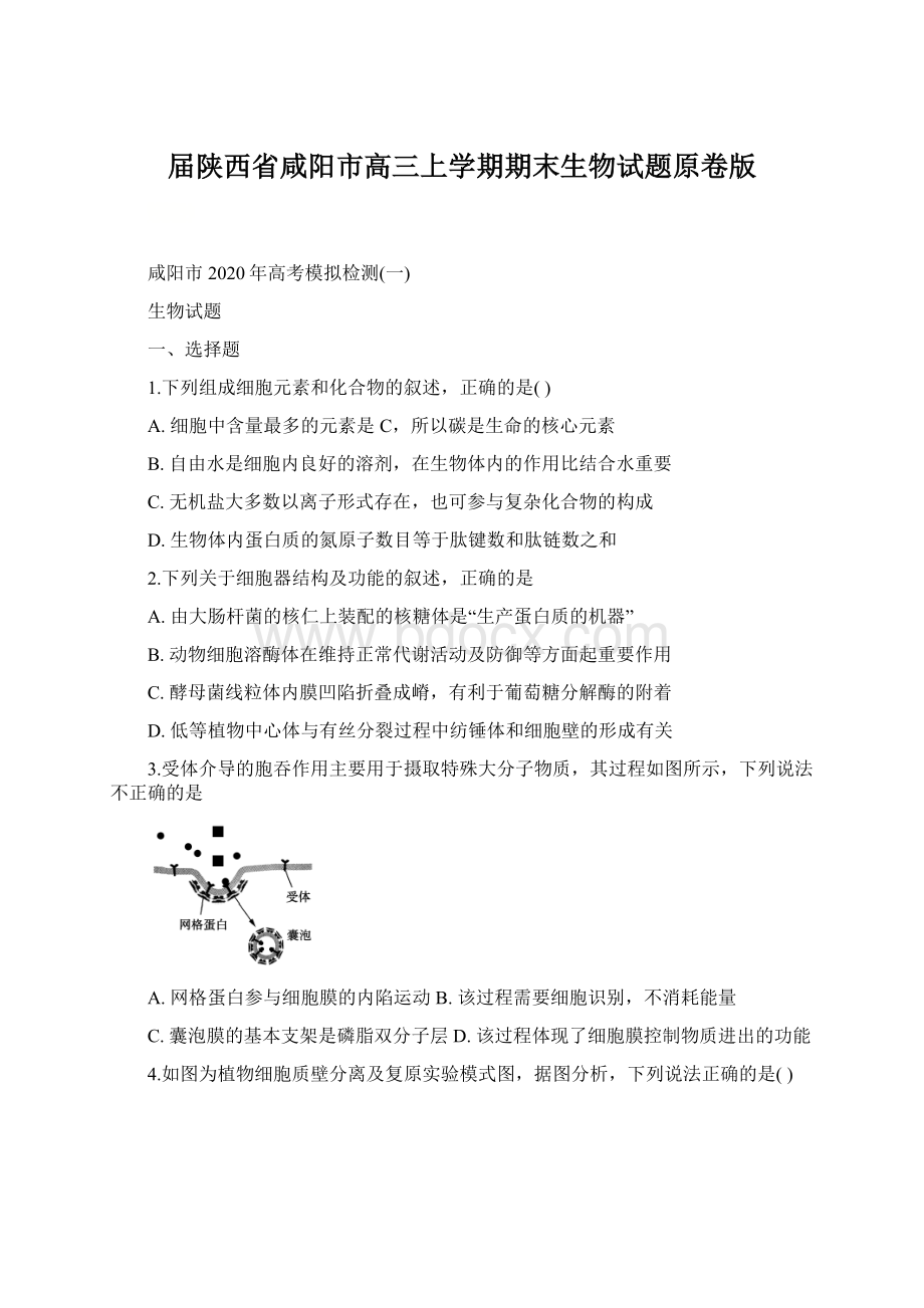 届陕西省咸阳市高三上学期期末生物试题原卷版.docx