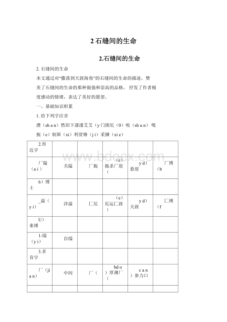 2石缝间的生命Word格式.docx