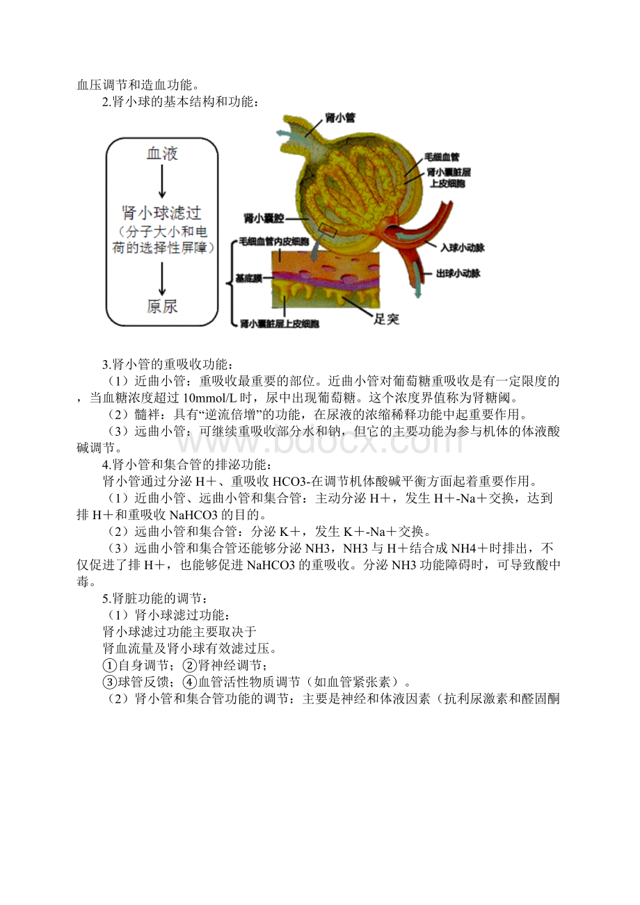 临床医学检验主管技师考试辅导11Word下载.docx_第2页