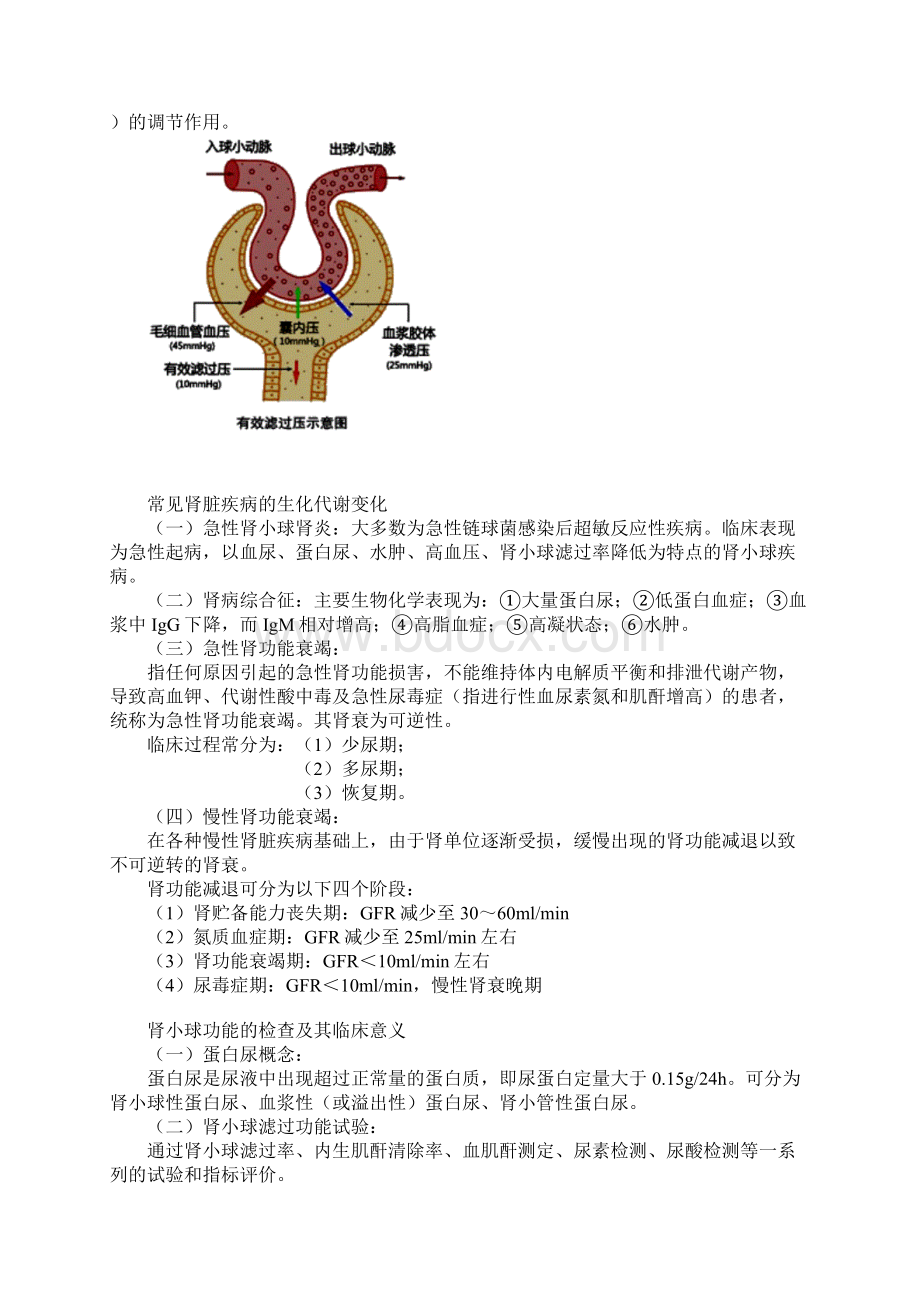 临床医学检验主管技师考试辅导11Word下载.docx_第3页