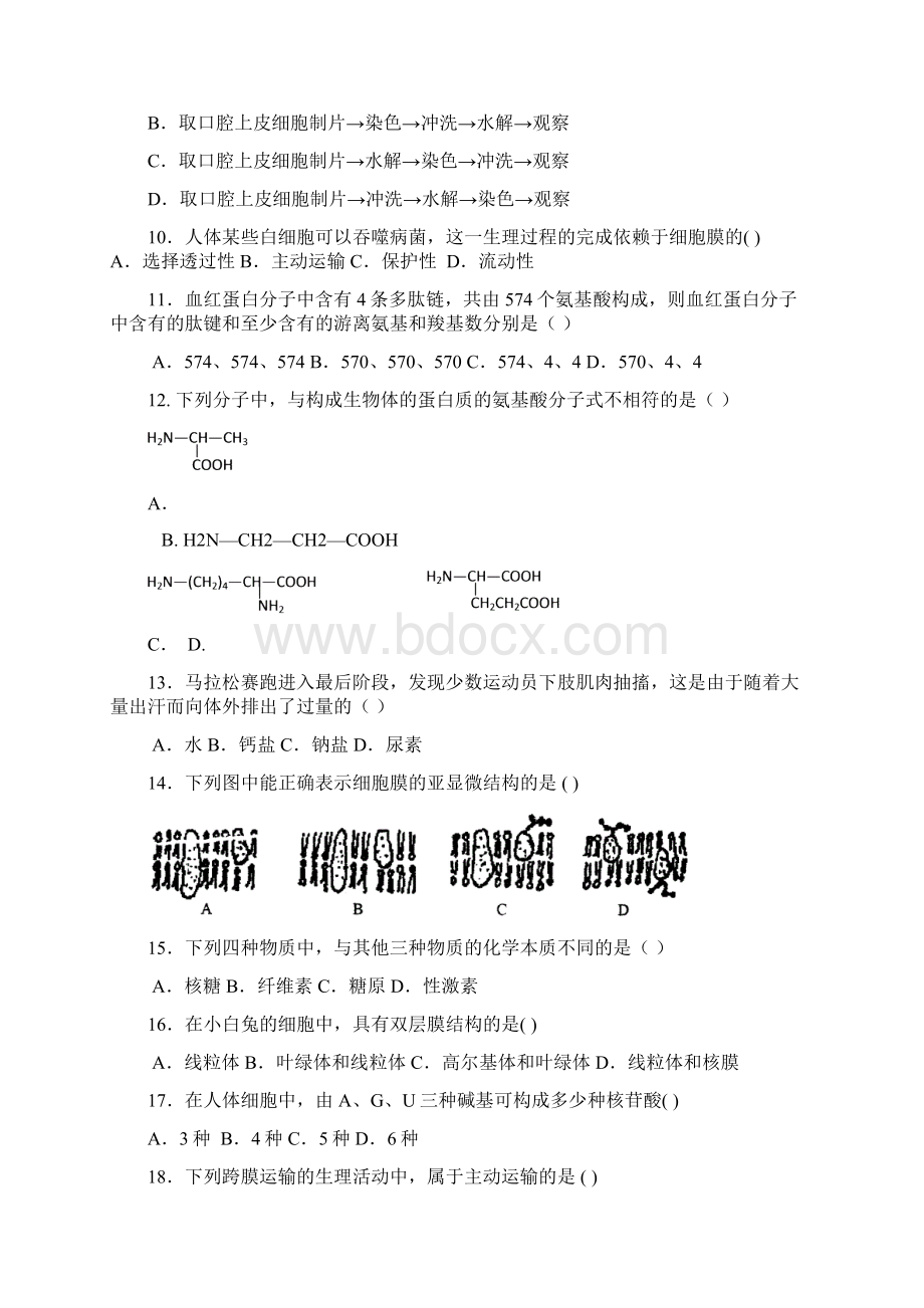 高中生物必修一期末测试题 2.docx_第2页