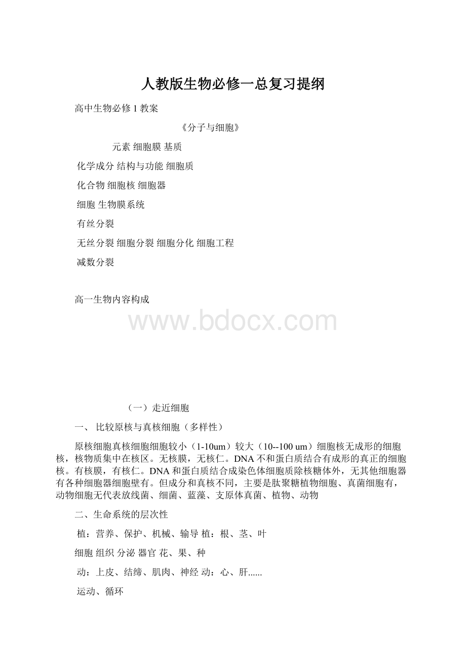 人教版生物必修一总复习提纲文档格式.docx_第1页