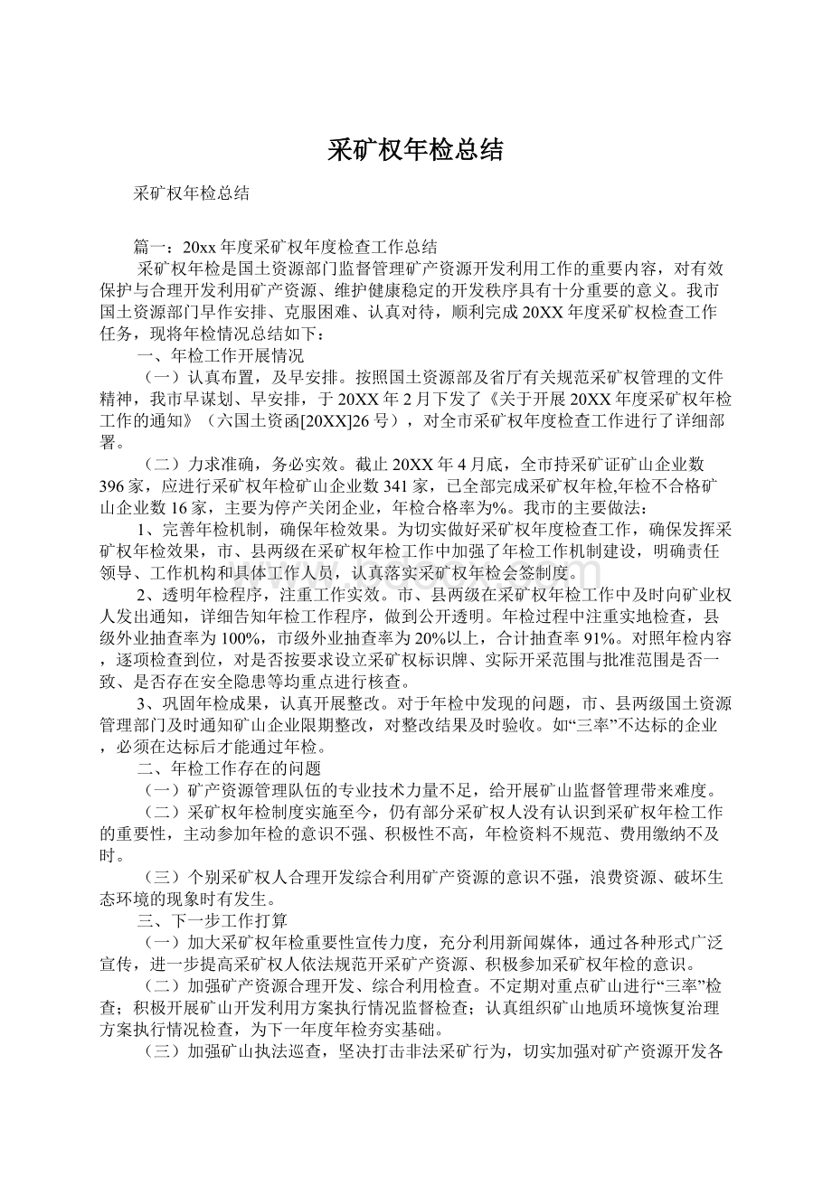 采矿权年检总结文档格式.docx