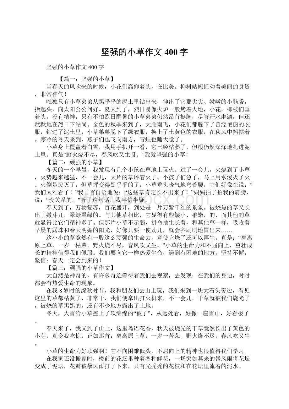 坚强的小草作文400字Word文档下载推荐.docx