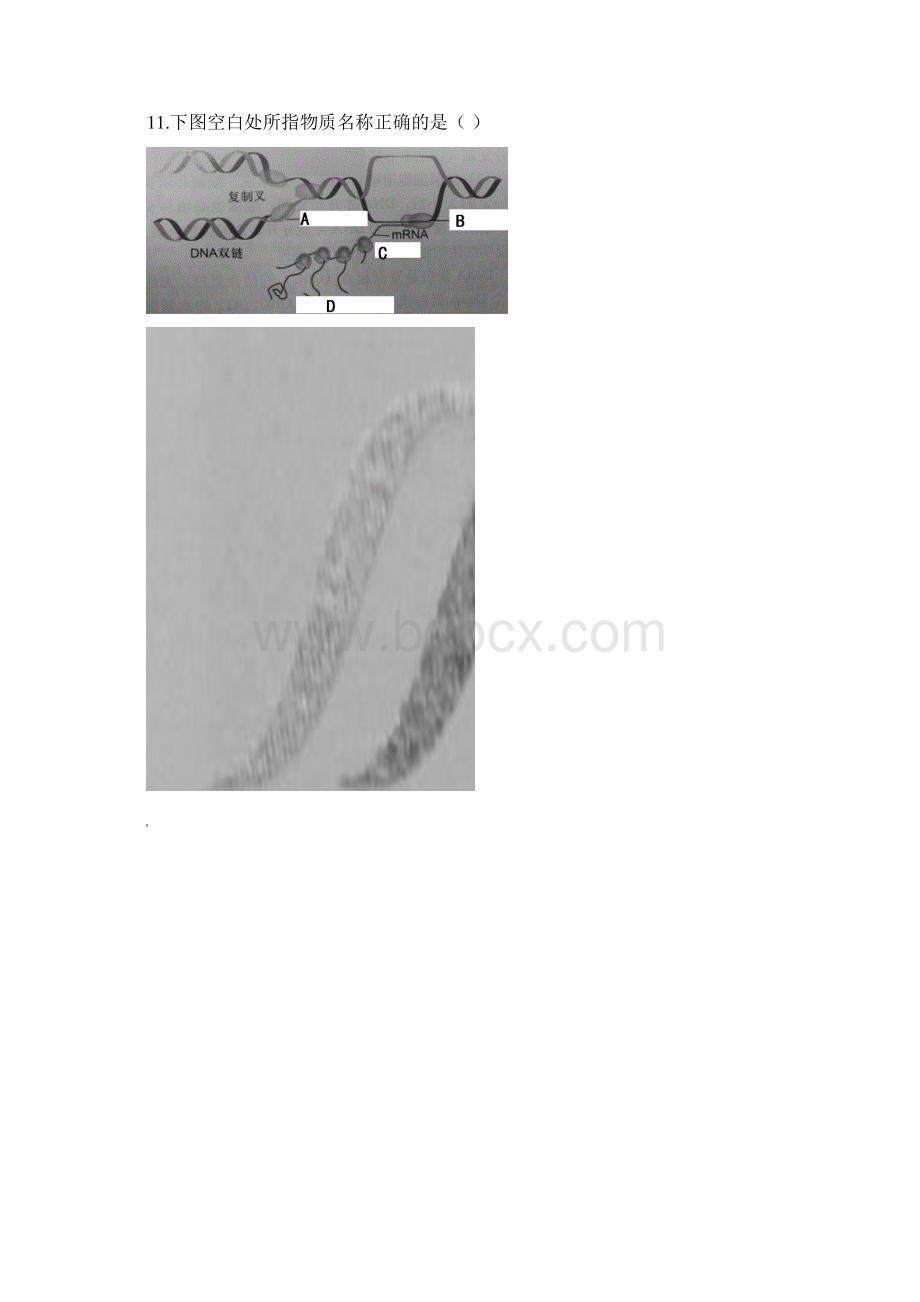 浙江省杭州市届高三生物上学期模拟卷四Word文档下载推荐.docx_第3页