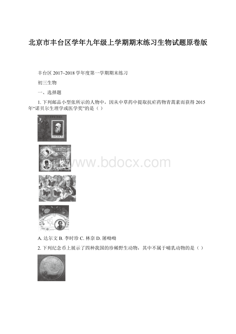 北京市丰台区学年九年级上学期期末练习生物试题原卷版.docx