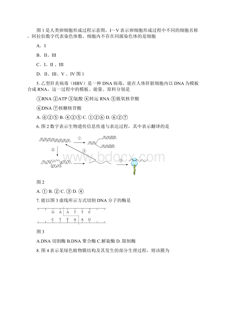 上海金山区学年度第一学期高中等级考模拟质量调研 生命科学.docx_第2页