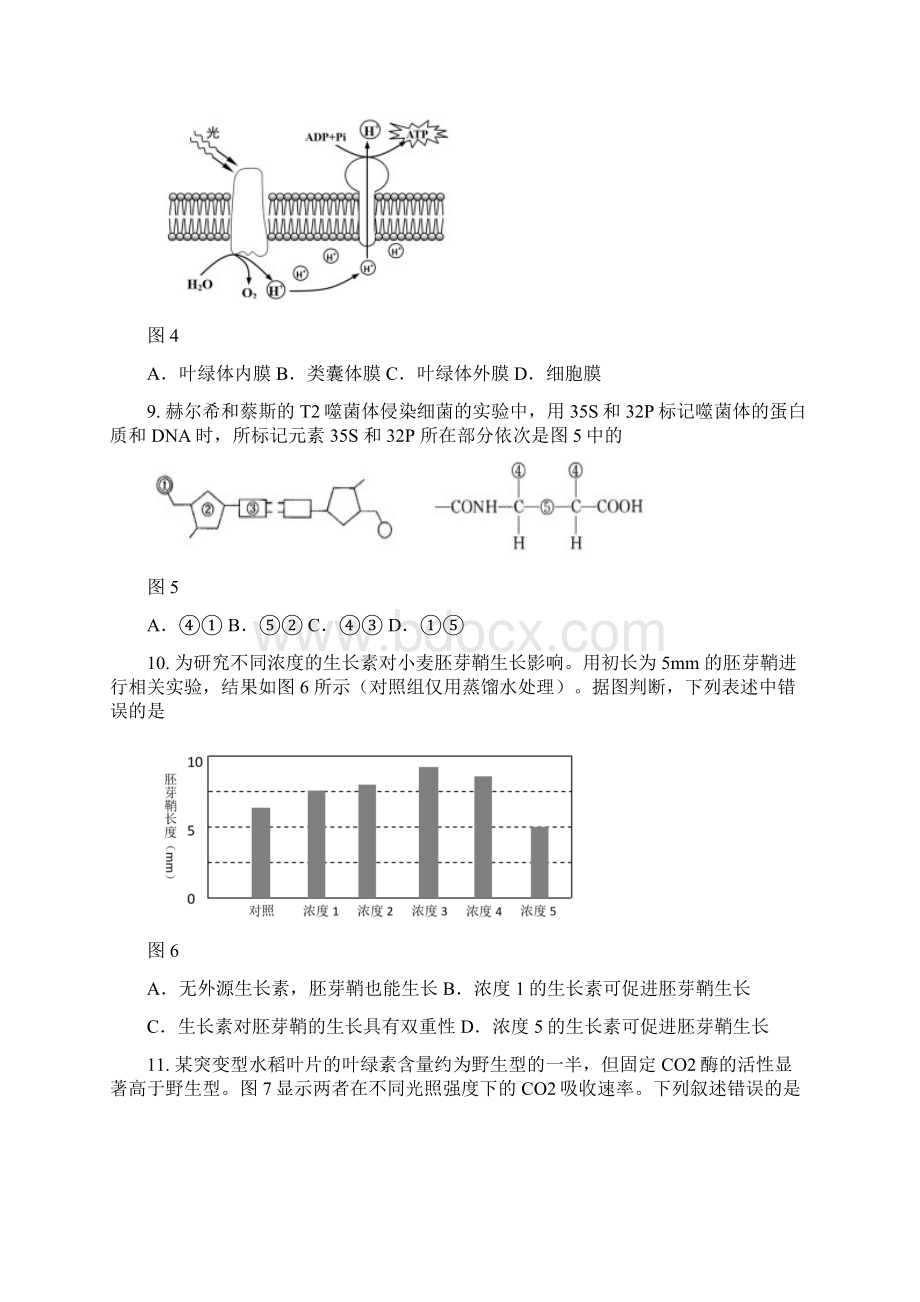 上海金山区学年度第一学期高中等级考模拟质量调研 生命科学.docx_第3页