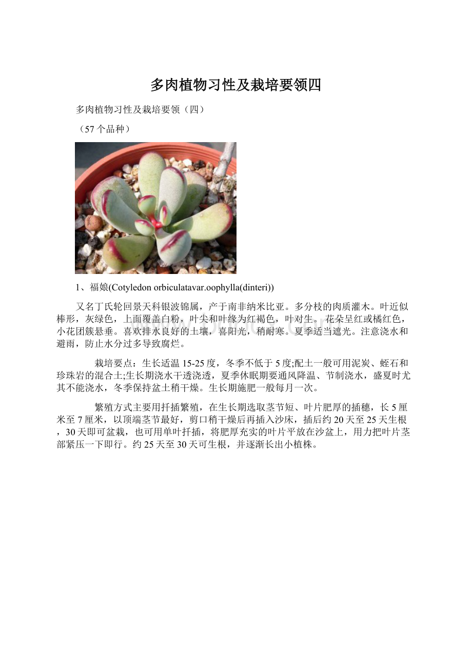 多肉植物习性及栽培要领四.docx_第1页