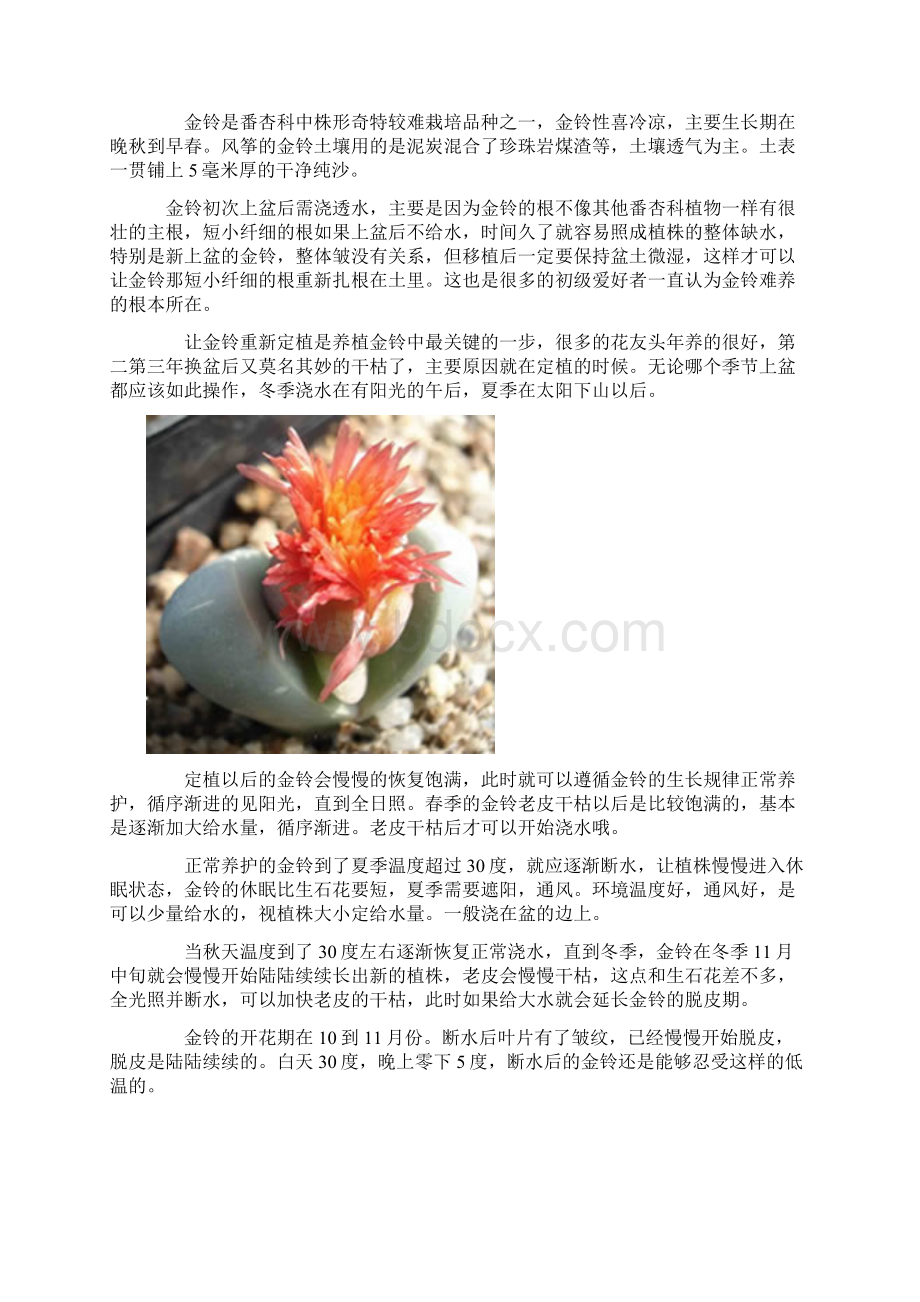 多肉植物习性及栽培要领四.docx_第3页