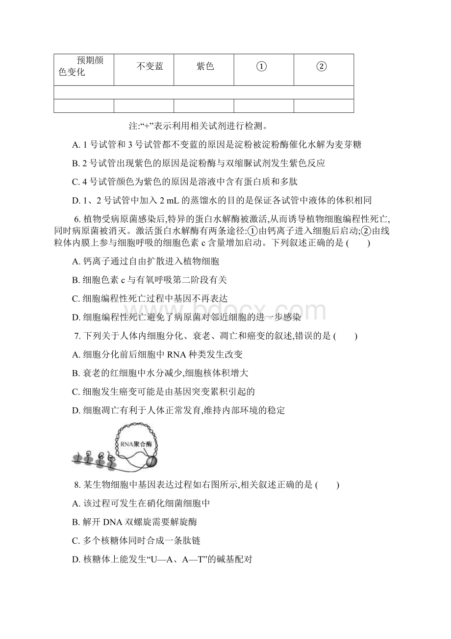 届江苏省南通市海安县高三上学期期中调研考试 生物.docx_第3页