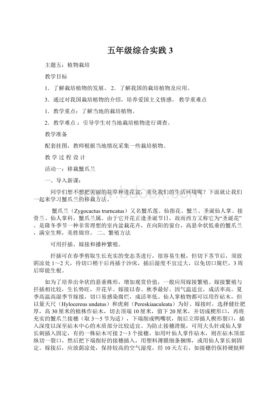 五年级综合实践3Word文档下载推荐.docx