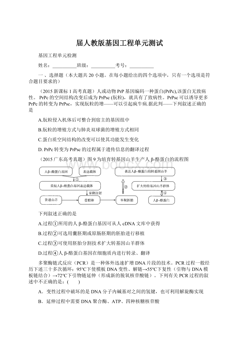 届人教版基因工程单元测试文档格式.docx