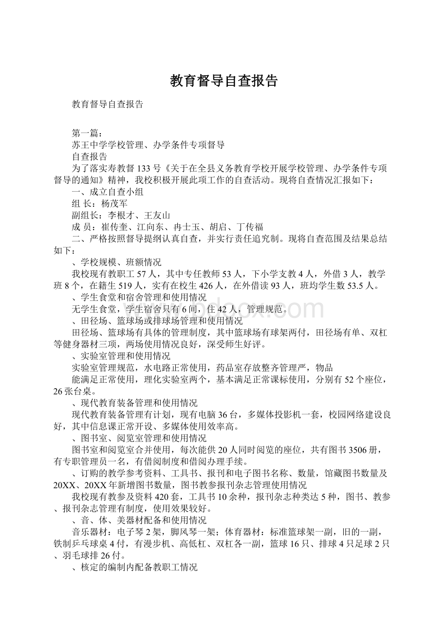 教育督导自查报告Word格式文档下载.docx_第1页