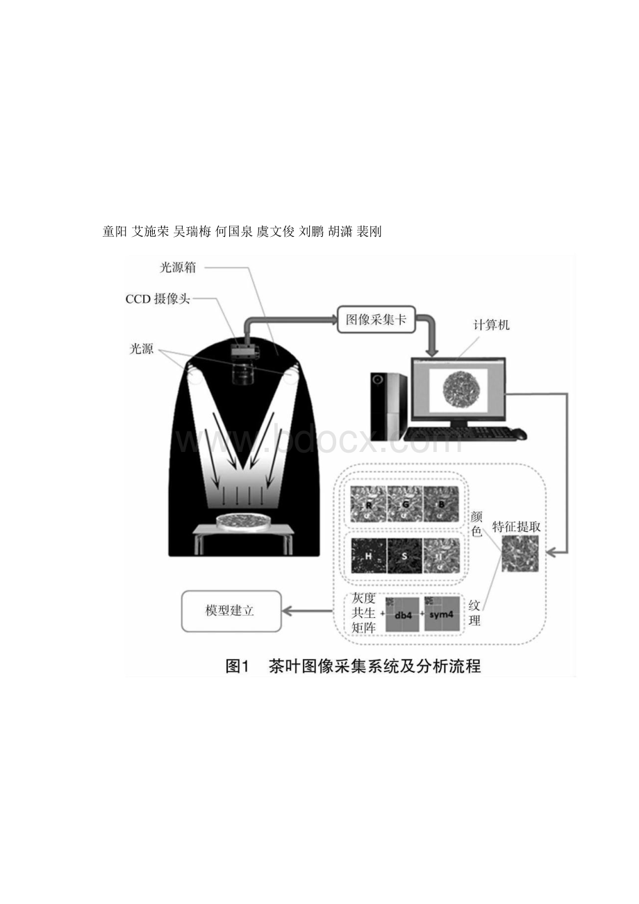 茶叶外形感官品质的计算机视觉分级研究.docx_第2页