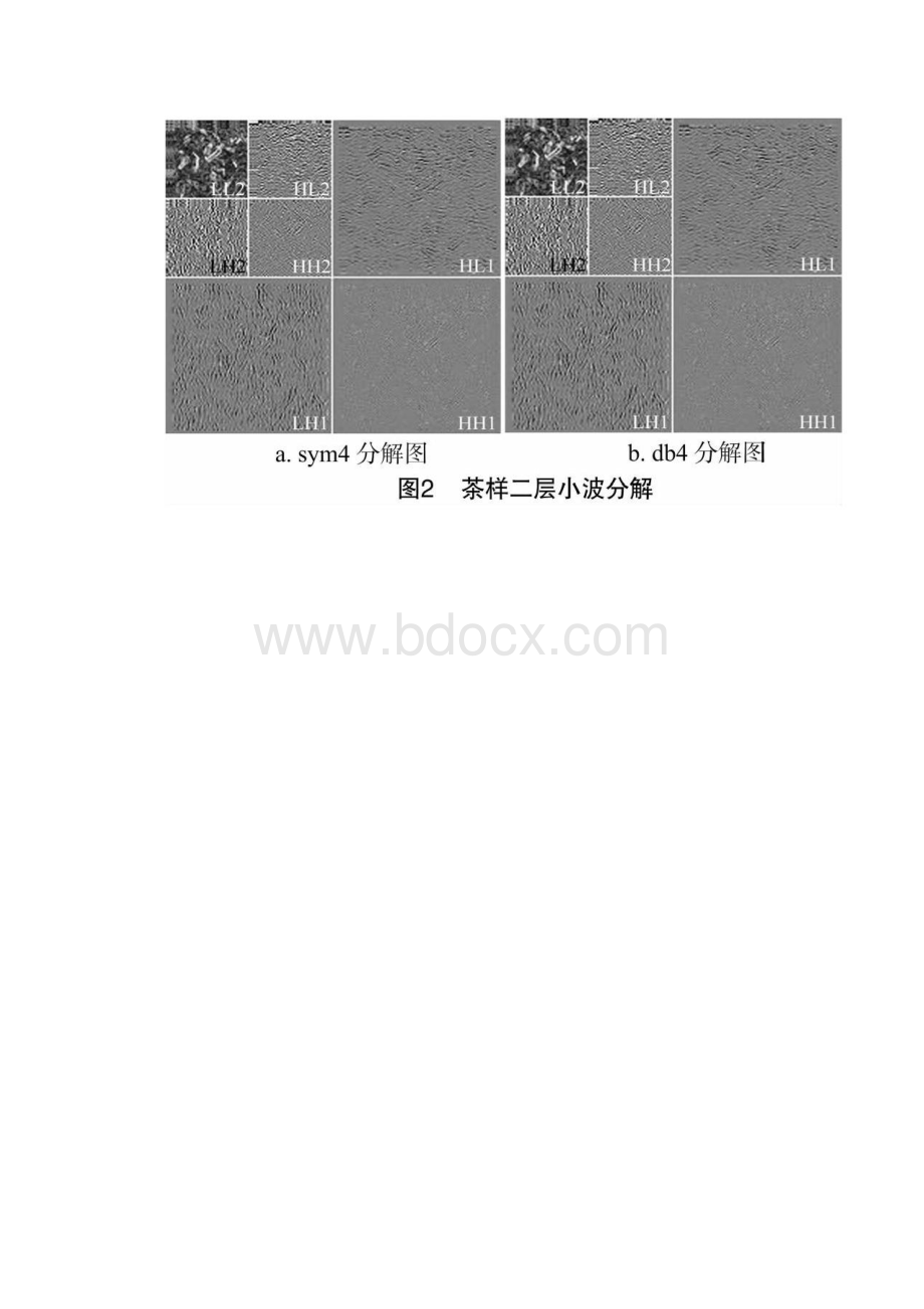 茶叶外形感官品质的计算机视觉分级研究.docx_第3页