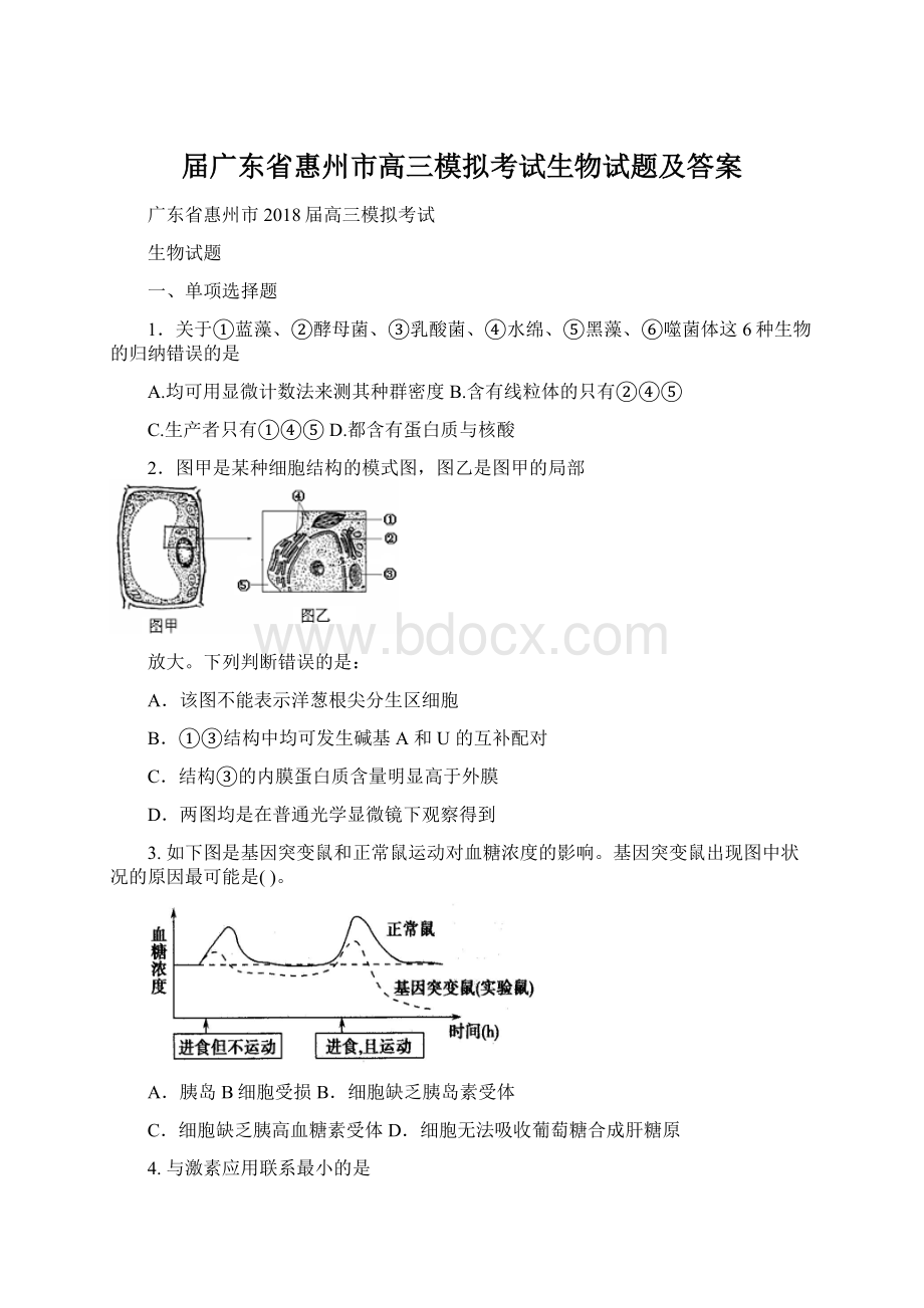 届广东省惠州市高三模拟考试生物试题及答案.docx