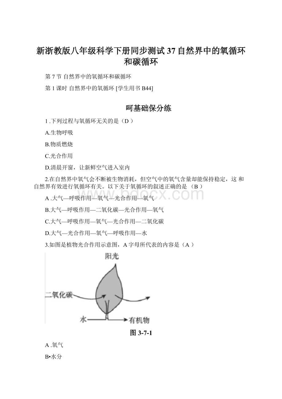 新浙教版八年级科学下册同步测试37自然界中的氧循环和碳循环.docx_第1页