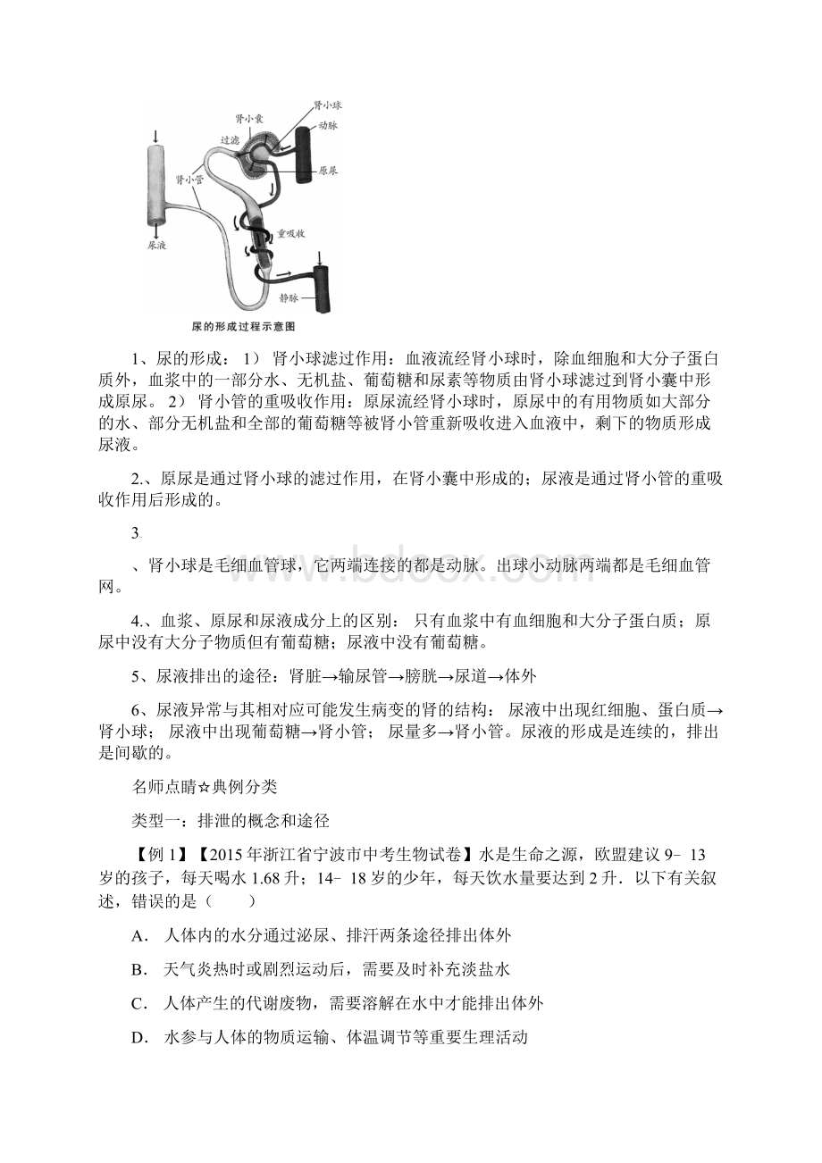 中考生物考点总动员专题10尿的形成含答案.docx_第2页