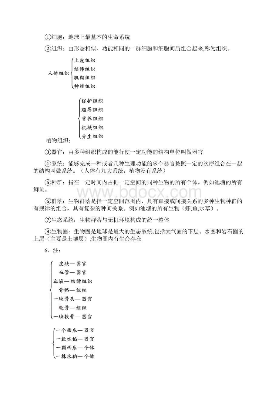 高中生物必修一第一章第二章知识点总结Word格式文档下载.docx_第2页