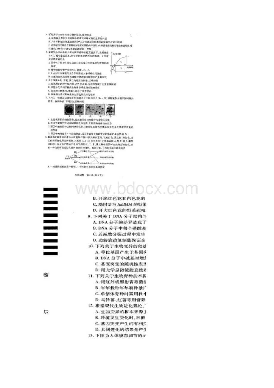 河南省天一大联考原豫东豫北十所名校联考届高三上学期阶段性测试三 生物 扫描版含答案文档格式.docx_第2页