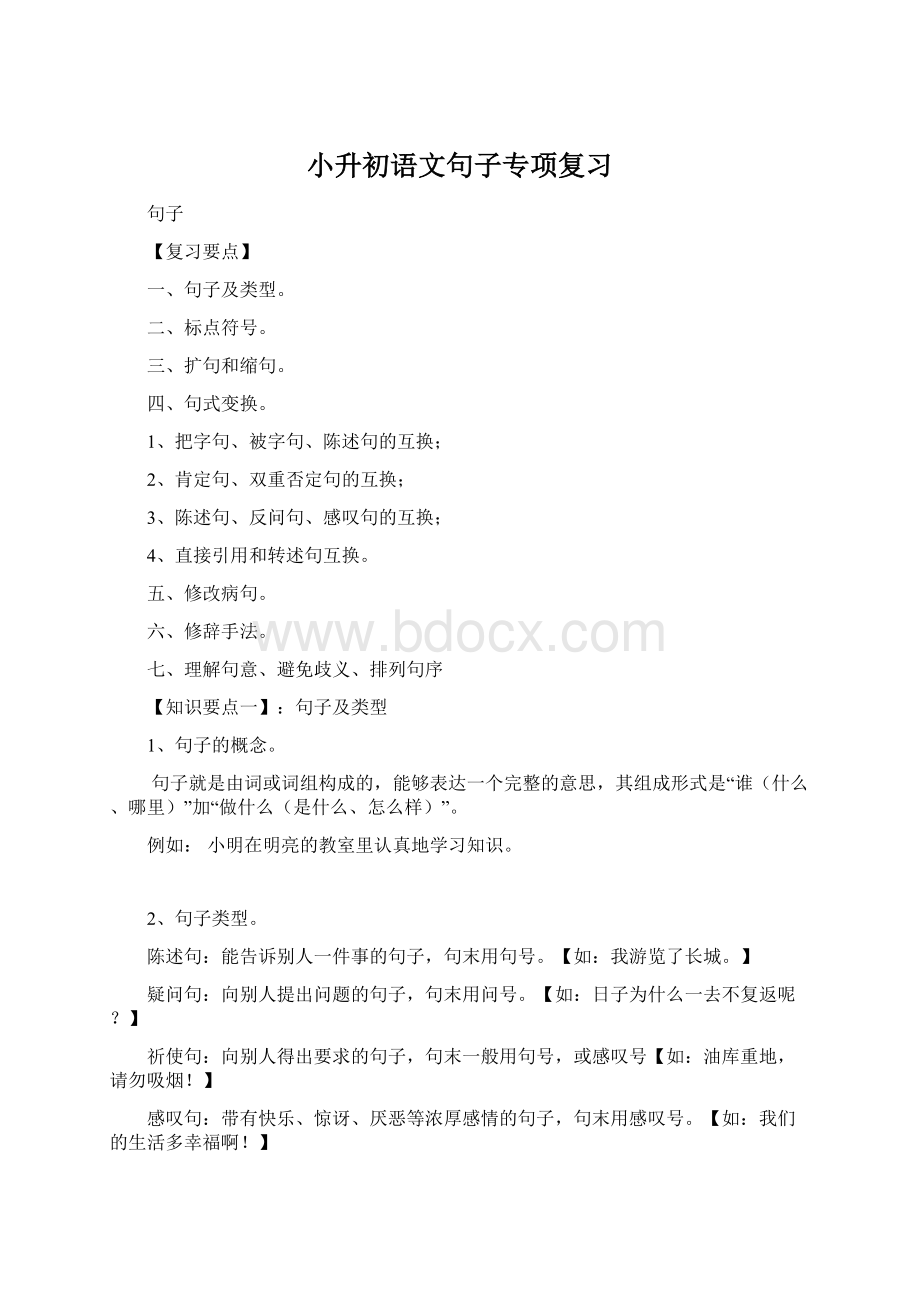 小升初语文句子专项复习Word文件下载.docx